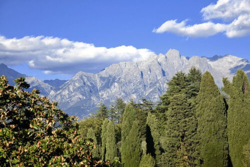 alberi, montagne e cielo: l'equilibrio perfetto della natura